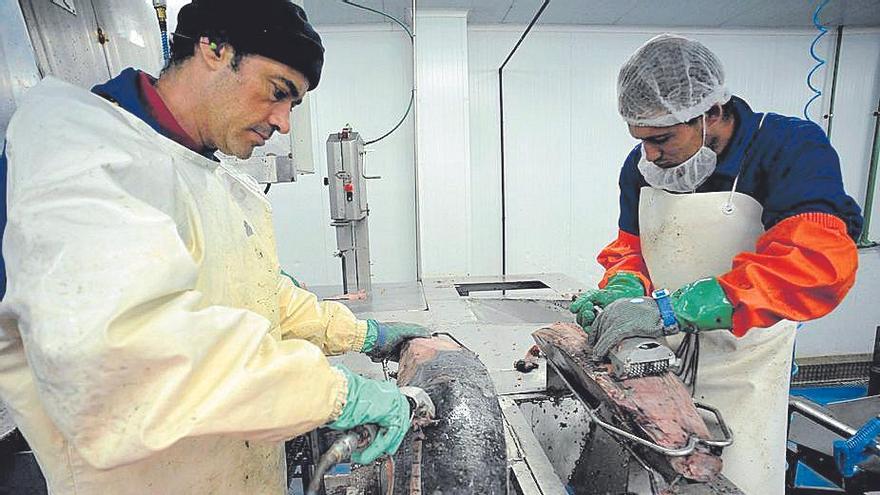 Empleados de la planta de Atunlo en Cambados.