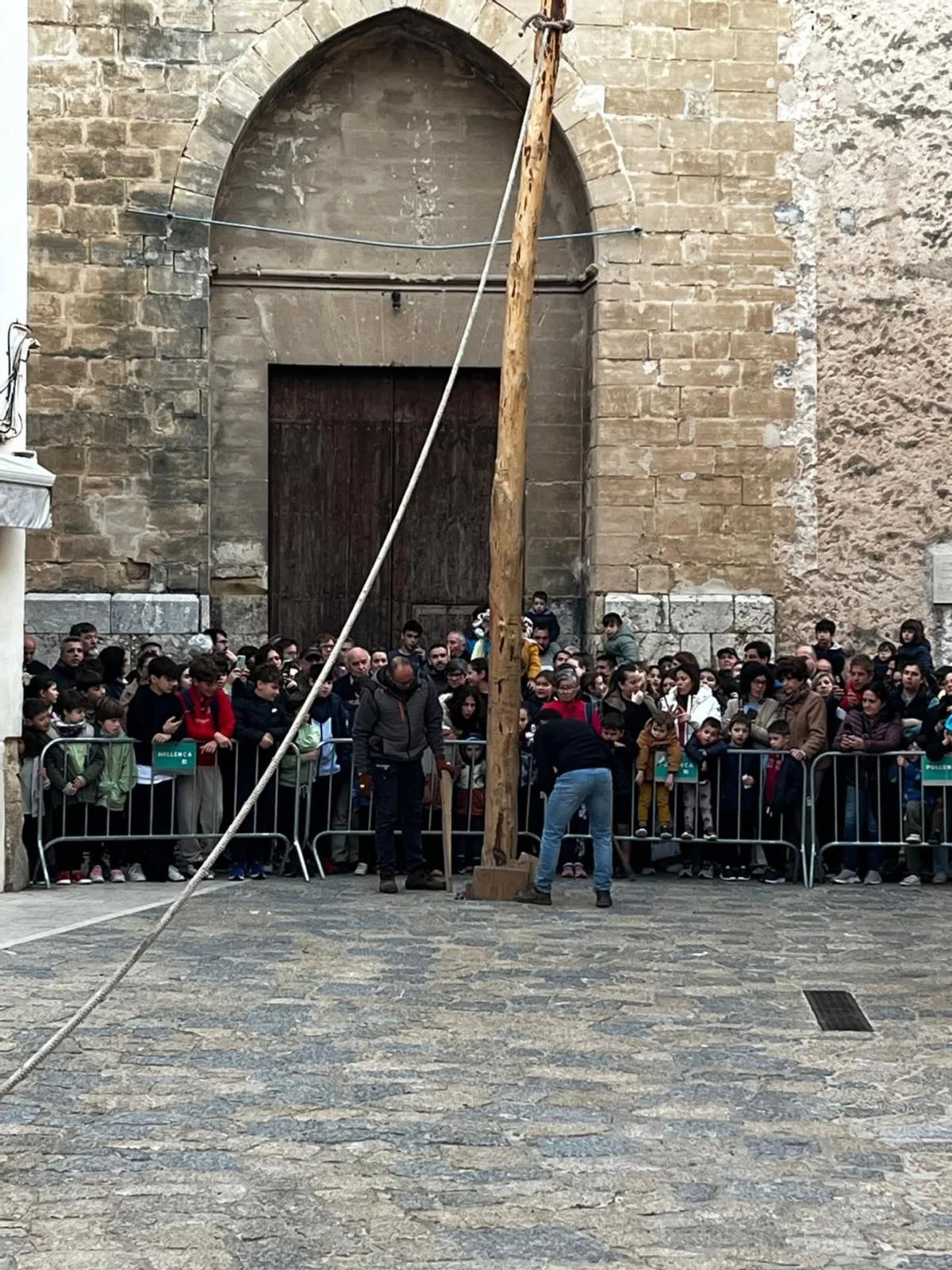 Las imágenes de la retirada del Pi de Sant Antoni de Pollença