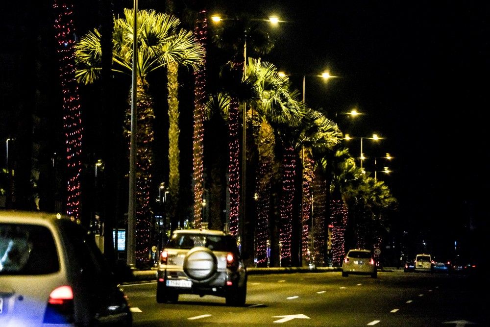 Encendido navideño en la Plaza de Santa Ana