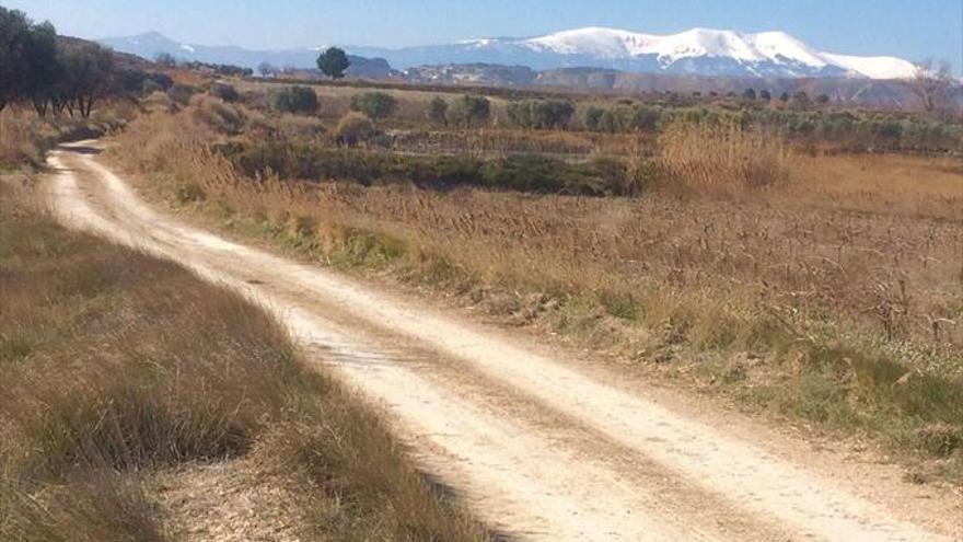 Impulso al camino jacobeo en la Comarca Campo de Borja