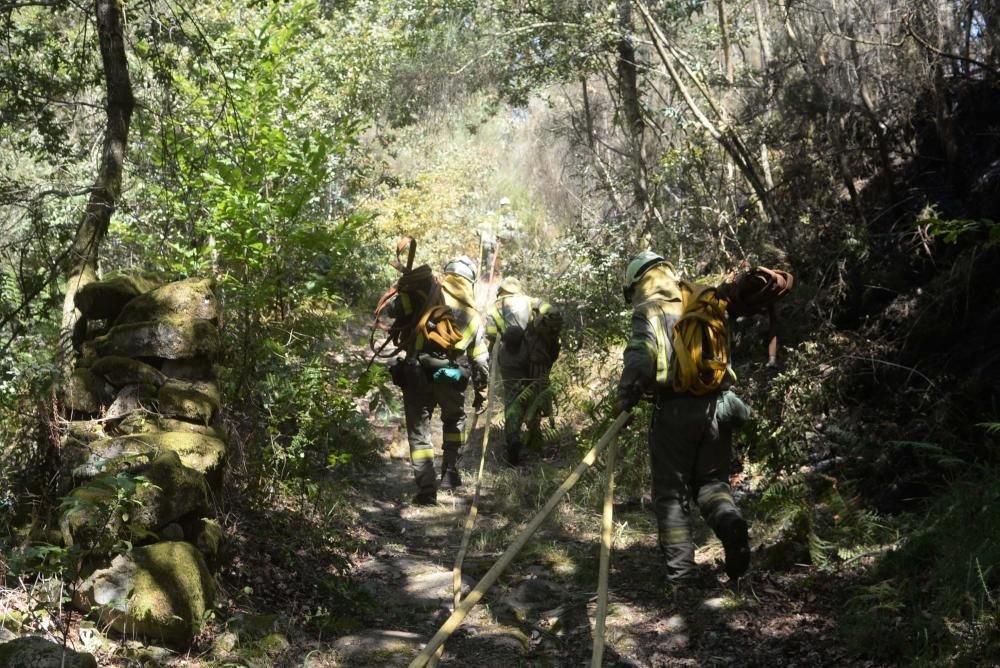 Incendio forestal en Cotobade