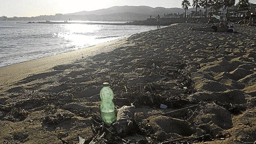 Ratas muertas en la playa de Can Pere Antoni