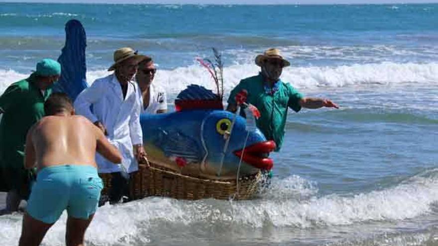 Los turistas trasladan por la playa una sardina agonizante, ayer.