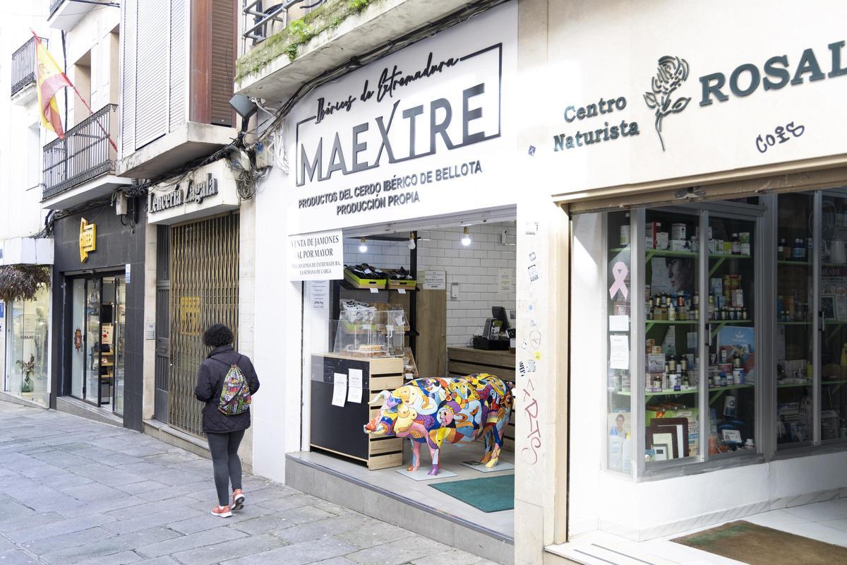 Así se encuentra la calle Pintores actualmente