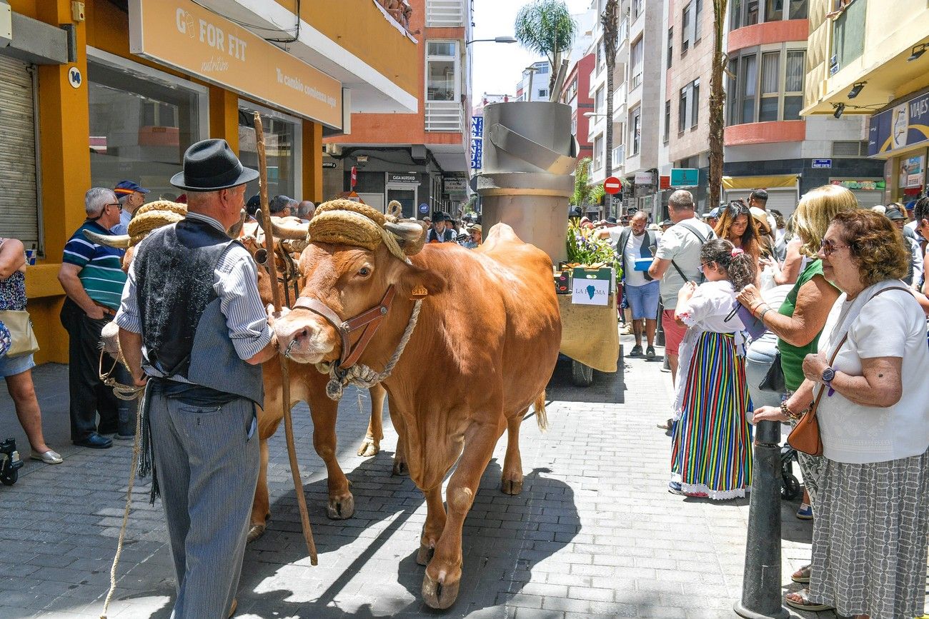 Una romería con bikini en Las Palmas de Gran Canaria