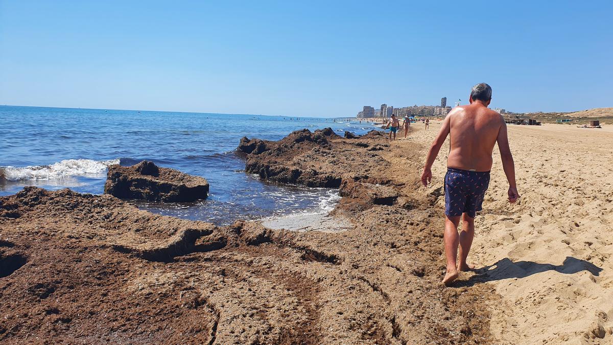 Una imagen tomada en la playa de El Altet con Arenales al fondo