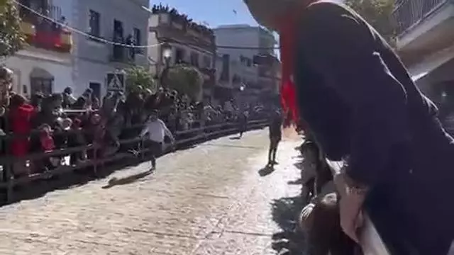 Vídeo | Encierros en La Puebla del Río por las fiestas de San Sebastián