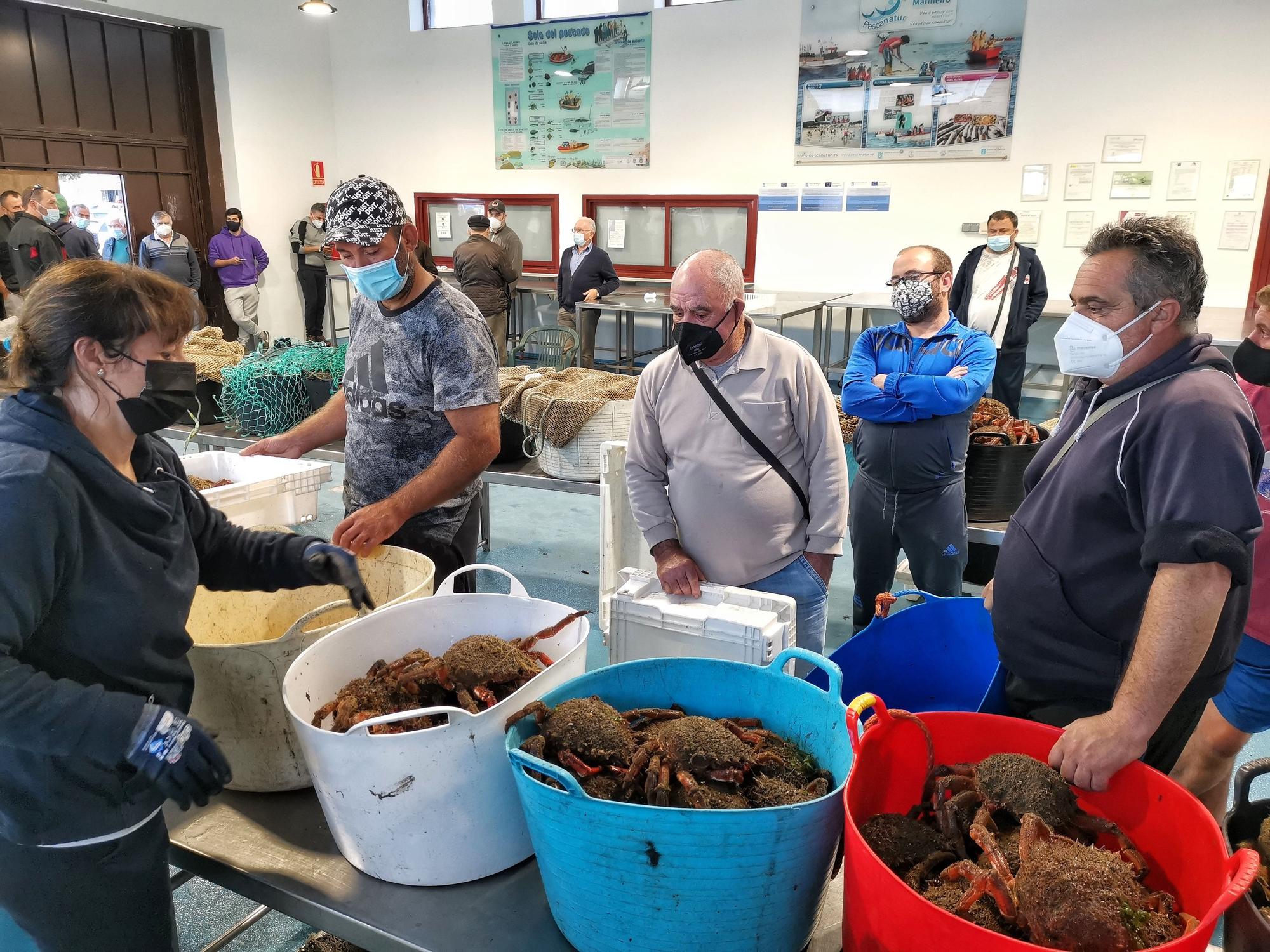 La campaña del "marisco rey", la centolla, arranca en Cangas y Bueu