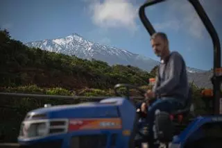 Manuel Reyes, presidente de la Cooperativa Las Medianías de San Juan de la Rambla