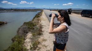 Una mujer observa aves a través de unos prismáticos en el delta del Ebro. 