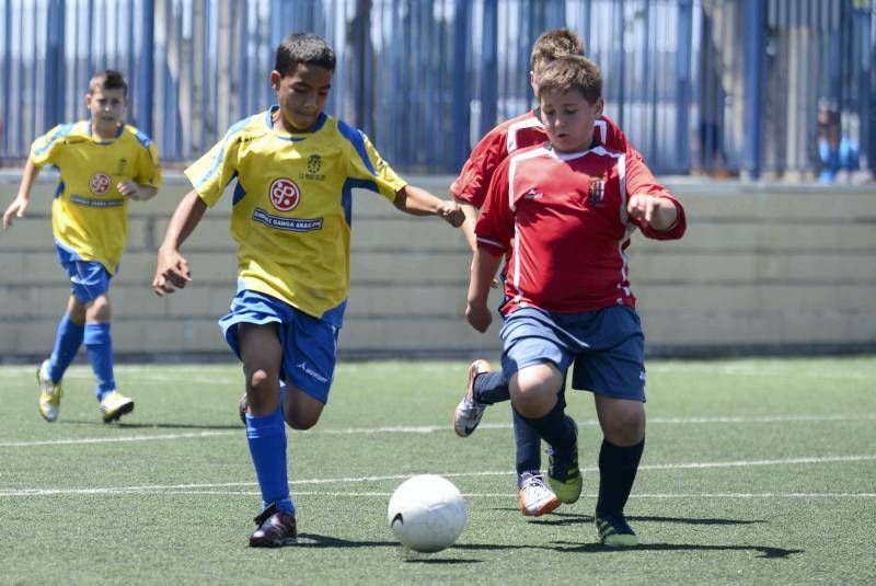 FÚTBOL: El Burgo de Ebro - Prados del Rey (1ª Alevín)