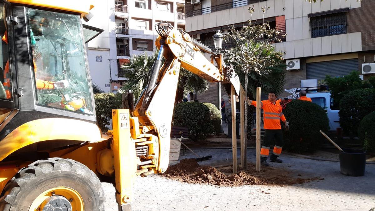 Plantación de árboles a cargo del Ayuntamiento