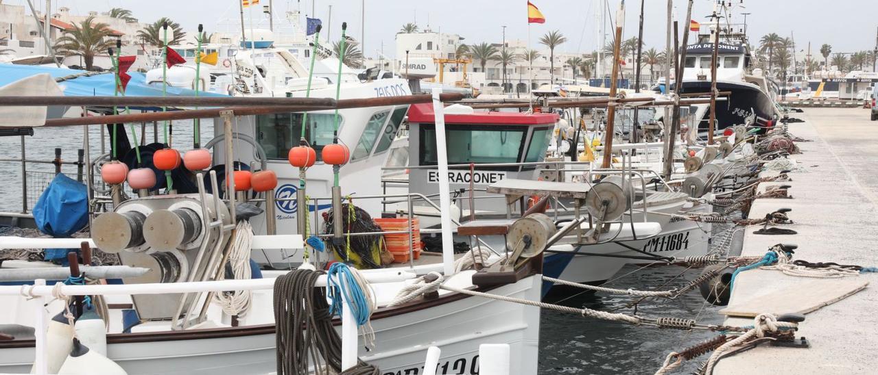 Parte de la flota pesquera de Formentera, amarrada en el muelle de la Savina por el paro nacional del sector.