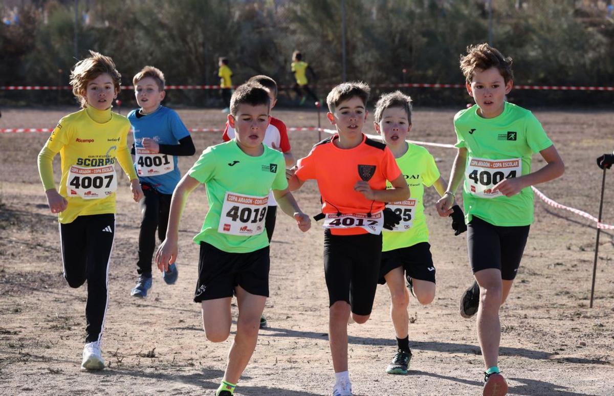 El cross de La Almunia dejó vistosas carreras entre los más jóvenes.