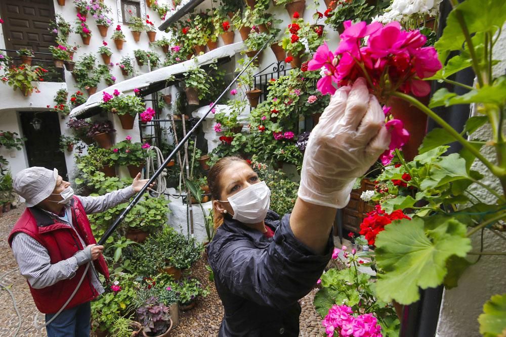 Los patios cordobeses, confinamiento interior por el coronavirus