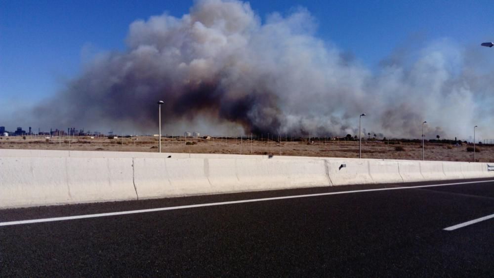 Incendio forestal en el Marjal dels Moros en Sagunt