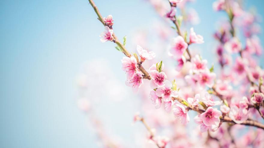 La primavera durará 92 días