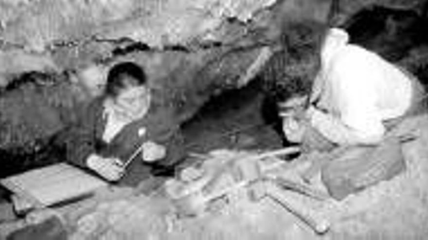 Descubren dos conchas marinas de hace 22.000 años en la cueva de Maltravieso