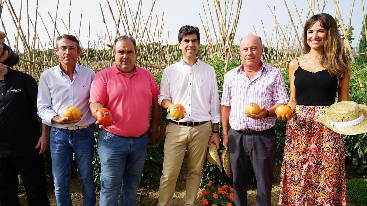 Presentación de la campaña del Tomate Huevo de Toro 2023 en Coín.