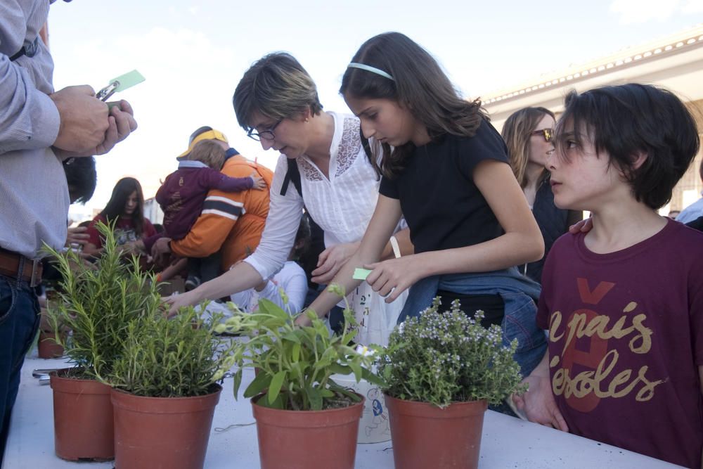 Primera trobada 2016 d'Escoles en Valencià en Montaverner