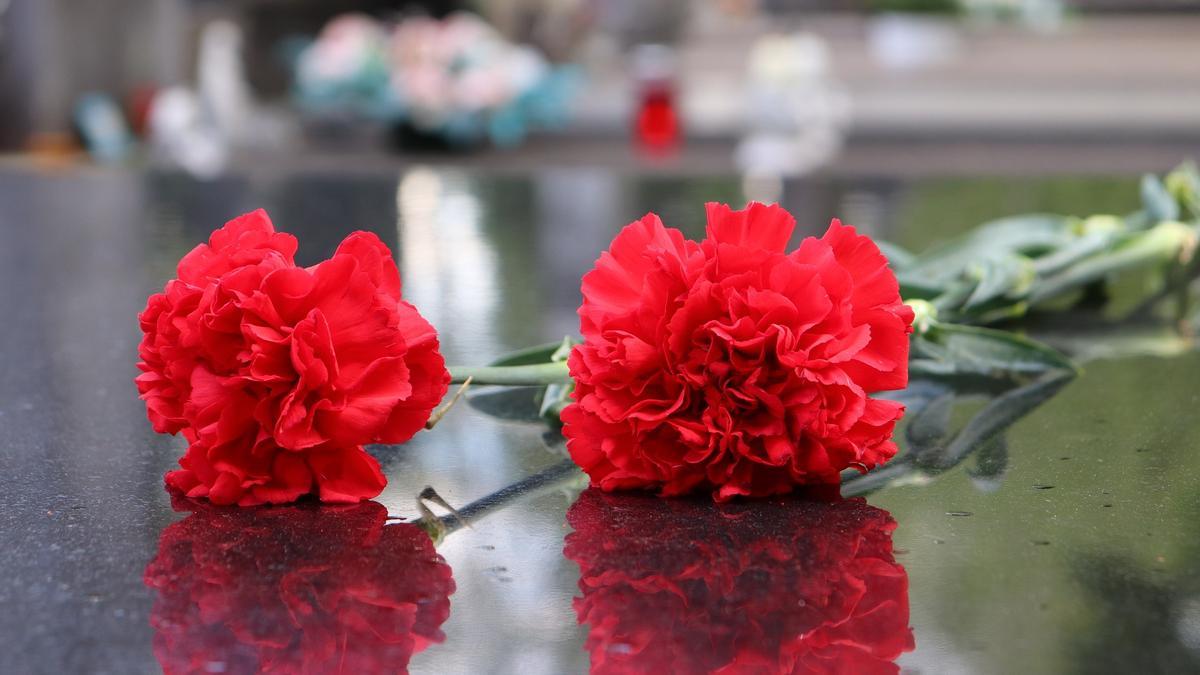 PLANTAS | Las mejores plantas y flores para el día de Todos los Santos