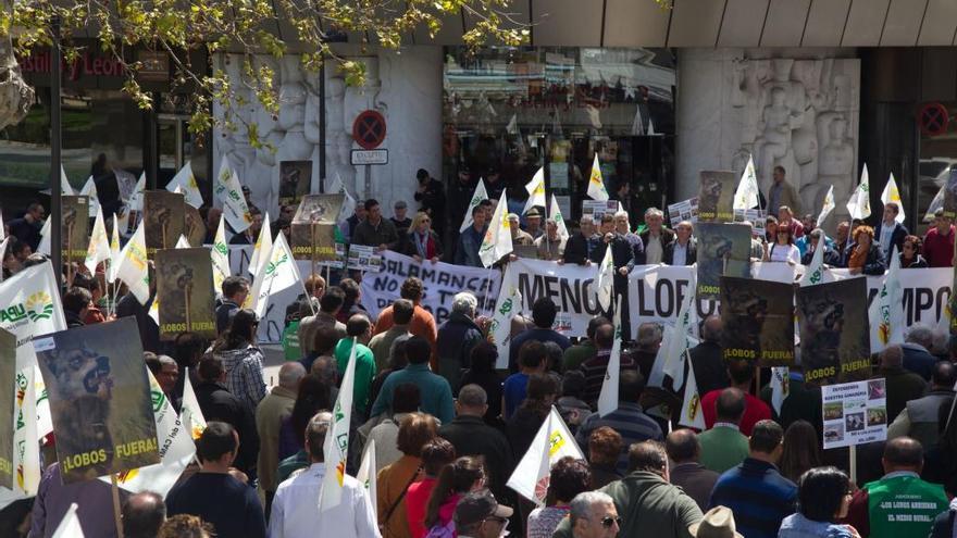 Manifestación de UPA-COAG en Zamora por los daños de la fauna