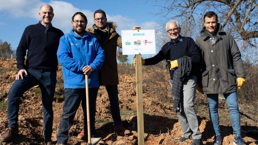 A la derecha y sujetando el poste, Jose Luis Pérez Quintana, presidente de Foxy, junto al equipo que hace posible el proyecto de reforestación en Tábara «Juega tu papel». | Ana Burrieza