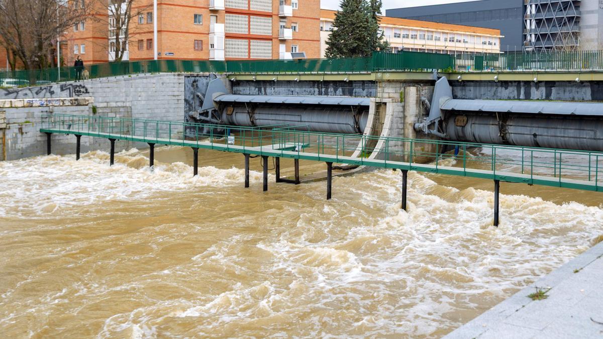 Vista de cómo bajaba este miércoles del río Manzanares a la altura del Puente de los Franceses después de que se redoblara el desemblase de agua desde la presa de El Pardo.