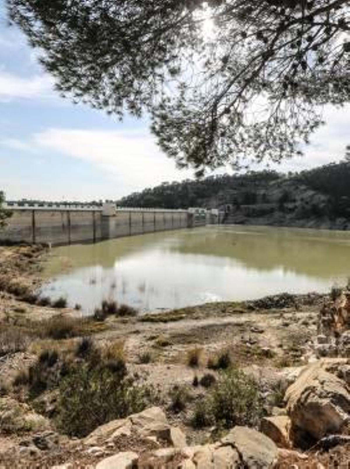 Los ecologistas piden que se destine a riego el excedente de agua del embalse Amadorio