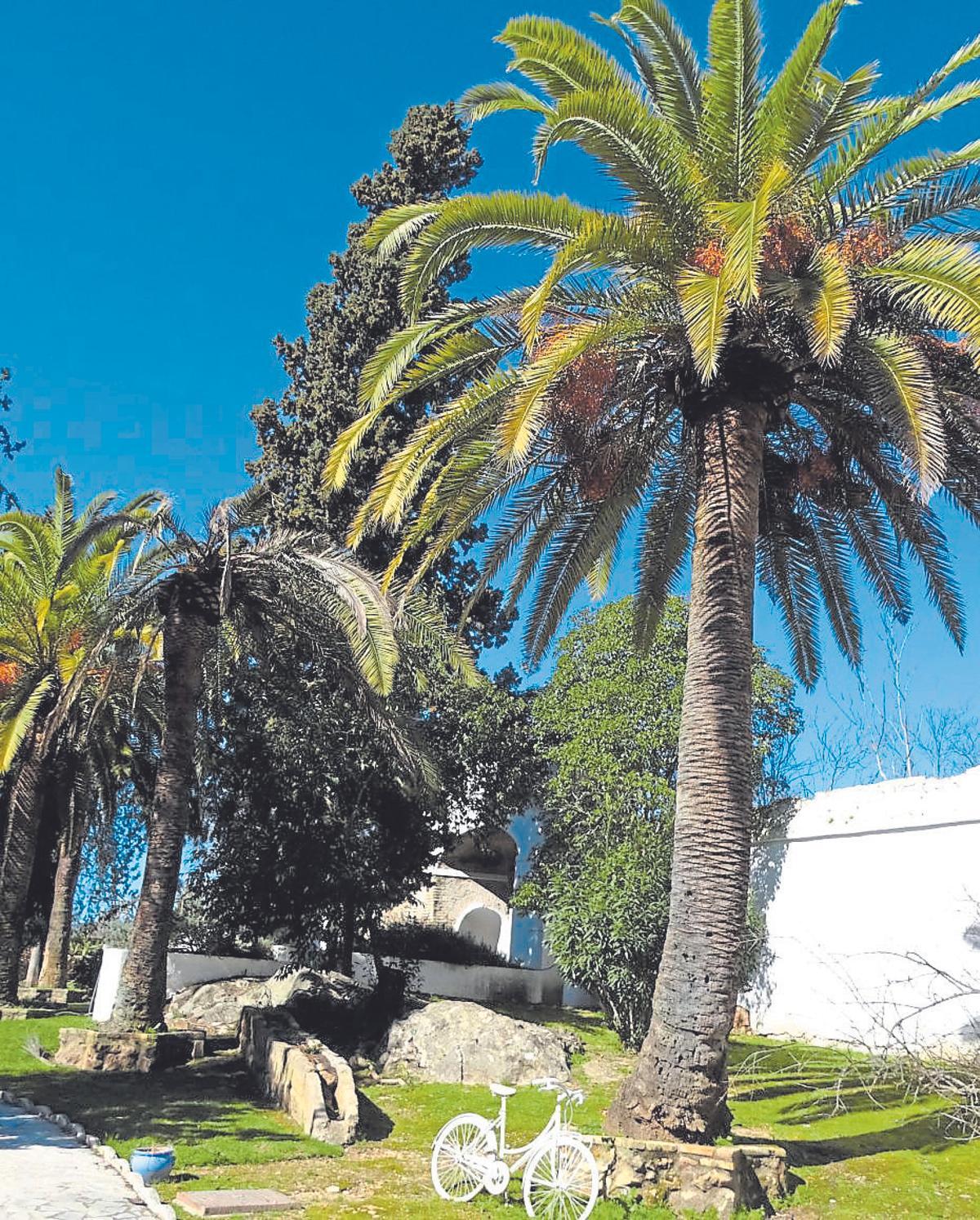 Parte del muro del convento de San Francisco en el parador de La Arruzafa.
