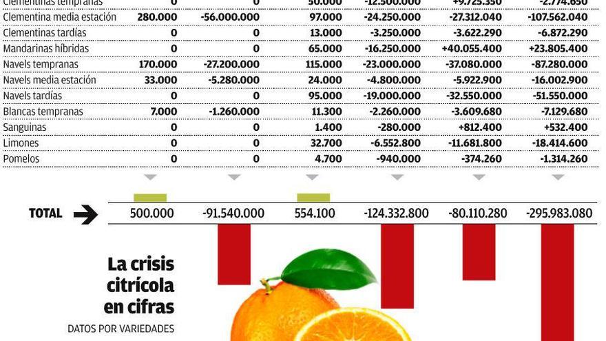 Uno de cada cuatro cítricos  se queda sin vender por la crisis