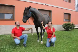 Una pareja con mucho tirón