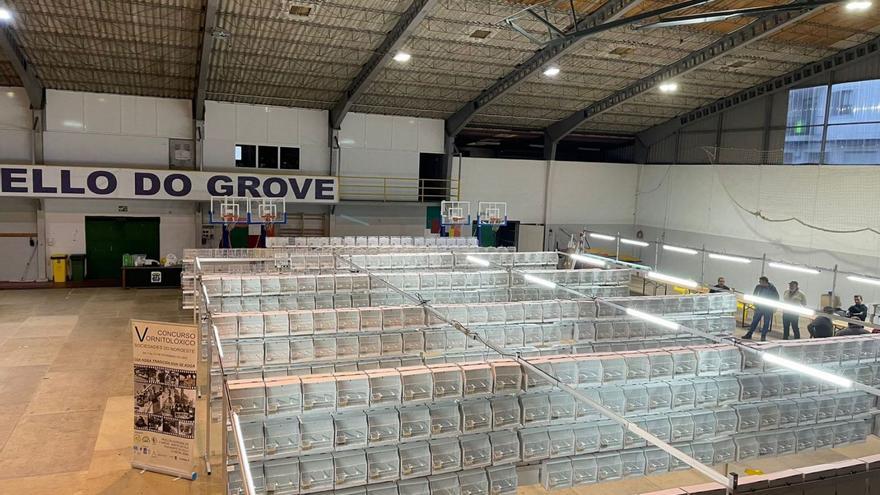 Las jaulas, instaladas para dar cabida a 1.200 pájaros, ya están en el pabellón de Monte da Vila.   | // FDV