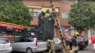 Susto en Los Remedios tras el desprendimiento de un toldo mal colocado