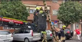 Un toldo cae en los Remedios y causa destrozos en los vehículos