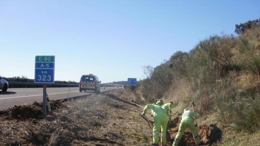 La 'autopista' que atraviesa Badajoz será asfaltada