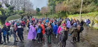 Touro, Boqueixón e Vedra unen esforzos