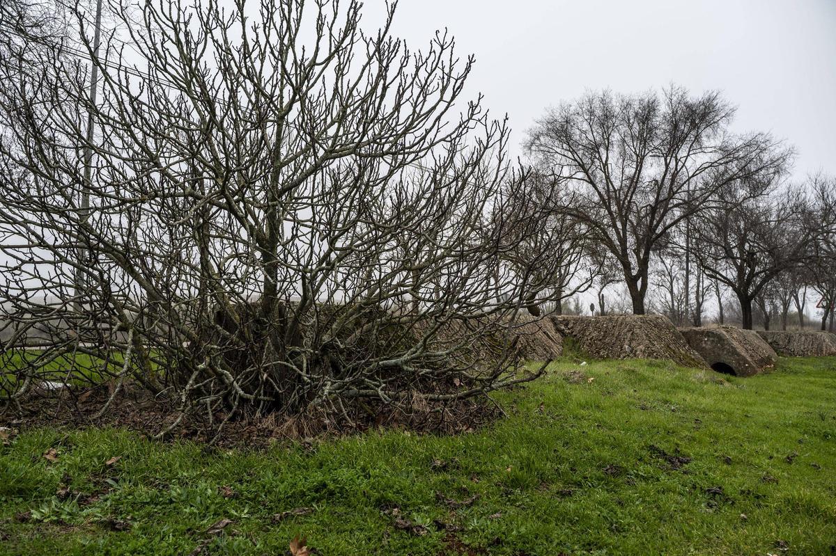 FOTOGALERÍA | Restos de los refugios antiaéreos de Cáceres junto al recinto ferial