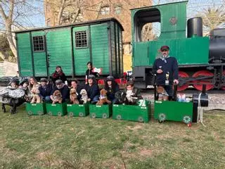 Mascotas disfrazadas en el Carnaval del Grau de Castelló. ¿Has participado? Búscate en esta divertida iniciativa