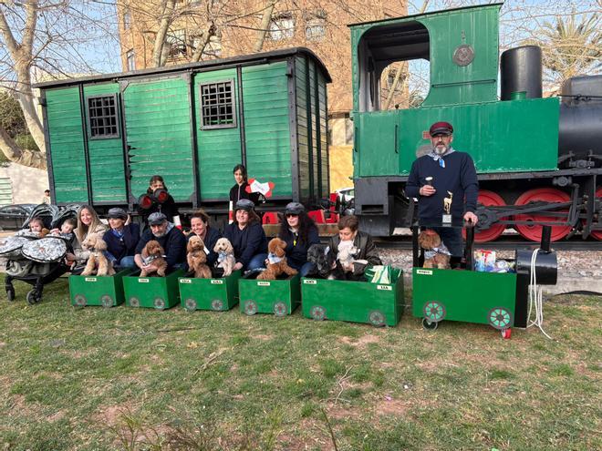 Mascotas disfrazadas en el Carnaval del Grau de Castelló. ¿Has participado? Búscate en esta divertida iniciativa