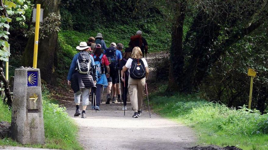 Una protectora de Tui pide a los peregrinos que no dejen que los perros los sigan en el Camino