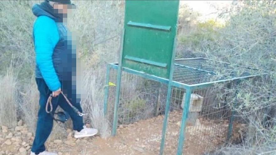 Boicot en Orpesa a las jaulas trampa para atrapar jabalís