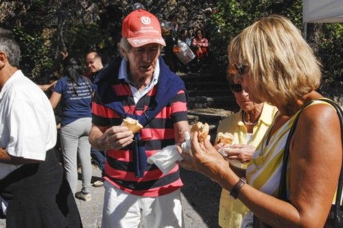 Fiesta del Almendro en Flor 2014