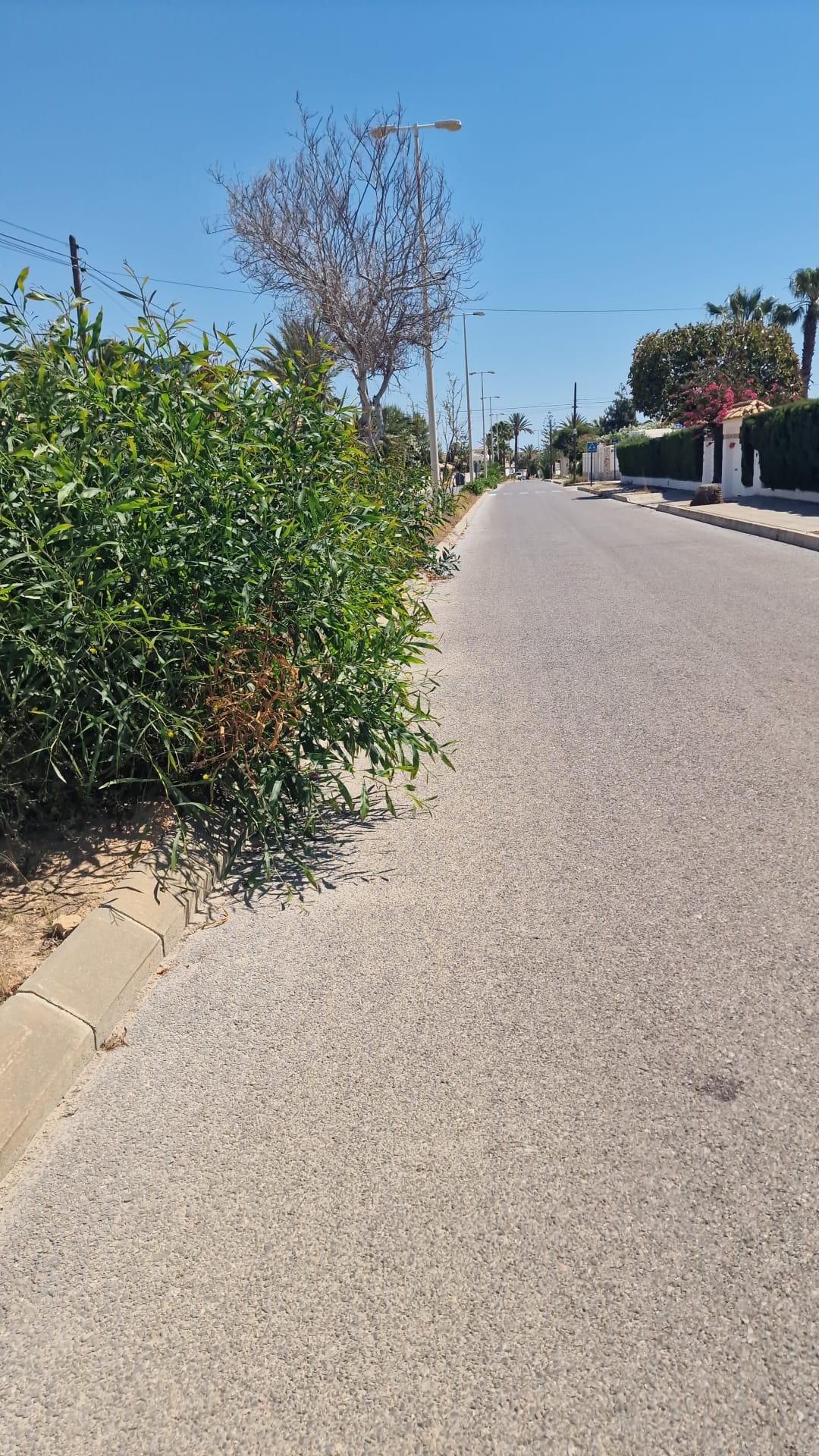 Una jungla sobre el asfalto de Orihuela Costa