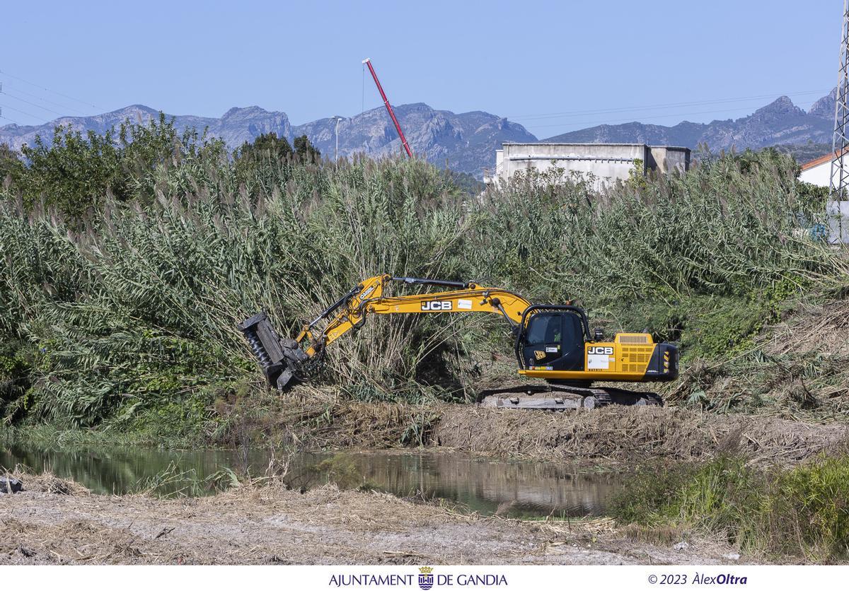 Una máquina desbrozadora de cañas, ayer durante los trabajos que se llevan a cabo junto al puente de la carretera de Daimús.