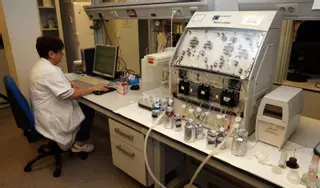 Las toxinas diarreica y amnésica regresan por el Sur