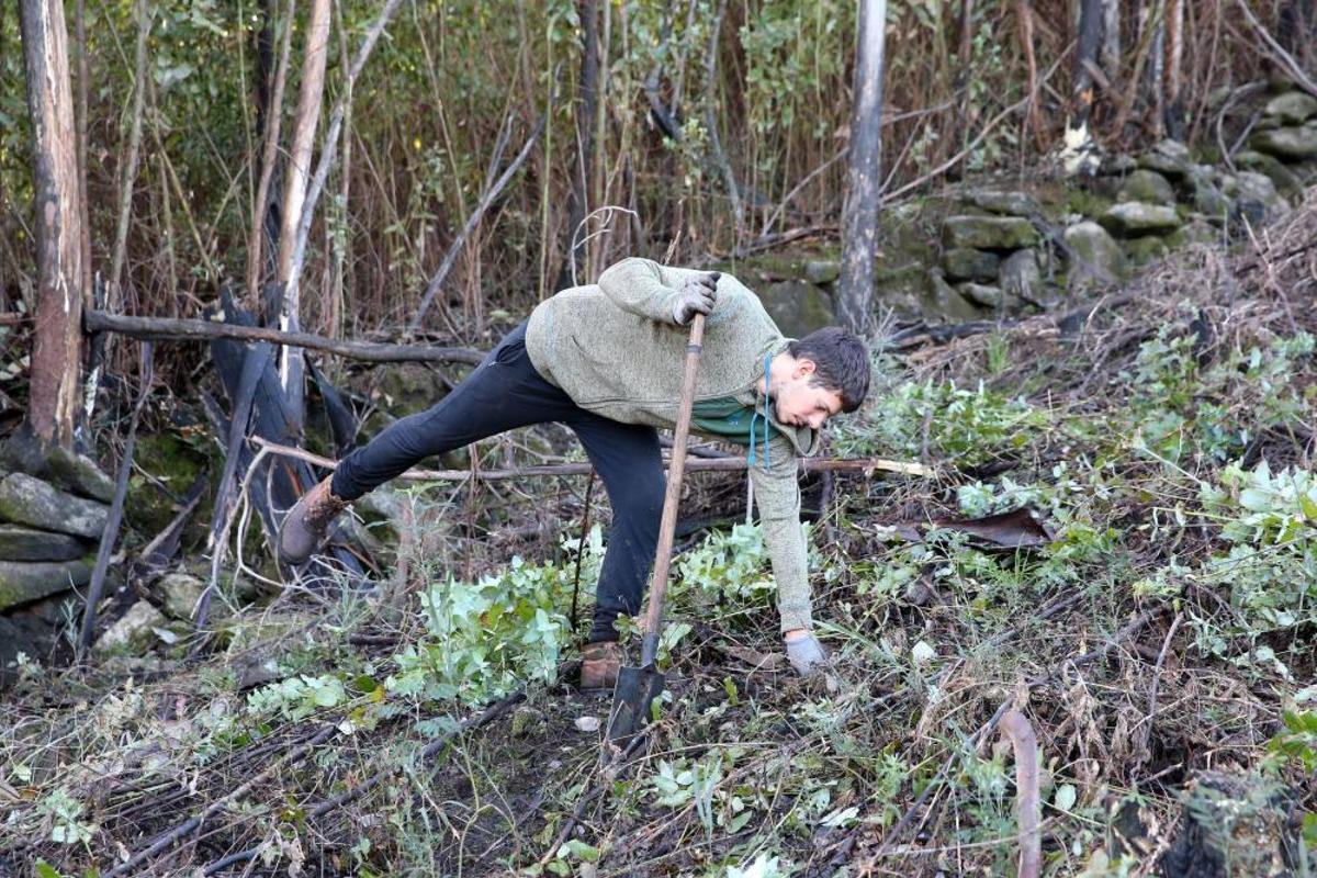 La Comunidad de Montes de Coruxo, que, en colaboración con las brigadas deseucaliptizadoras de Verdegaia, organizaron una jornada de voluntariado para liberar de eucaliptos el regato de O Pontón. La Comunidad de Montes de Coruxo, que, en colaboración con las brigadas deseucaliptizadoras de Verdegaia, organizaron una jornada de voluntariado para liberar de eucaliptos el regato de O Pontón.