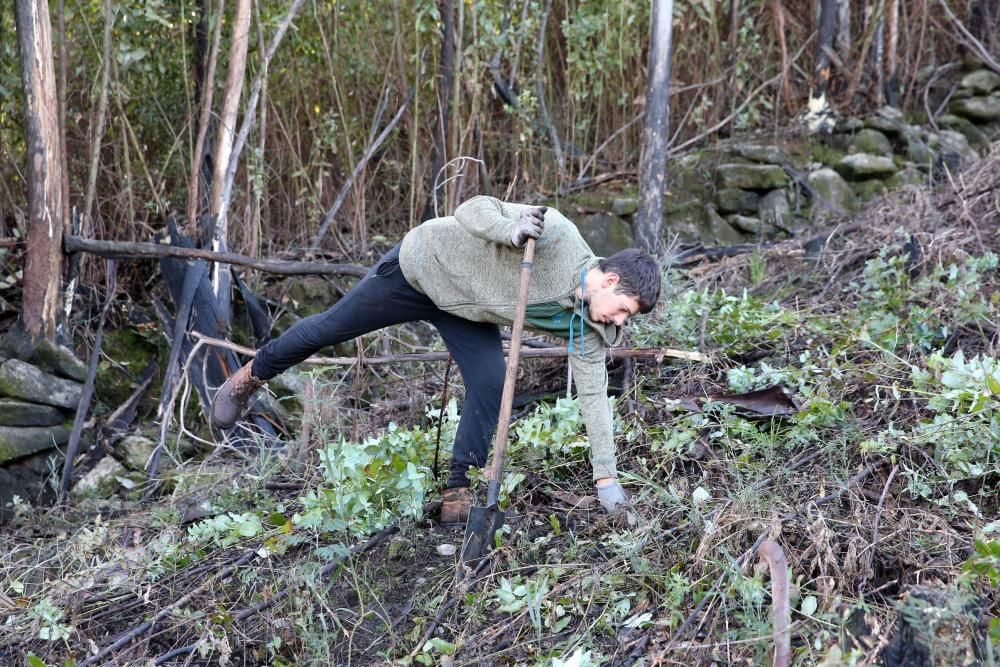 La Comunidad de Montes de Coruxo, que, en colaboración con las brigadas deseucaliptizadoras de Verdegaia, organizaron una jornada de voluntariado para liberar de eucaliptos el regato de O Pontón.