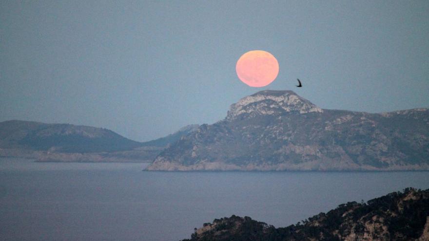 Así se ha visto la luna llena de miel en Mallorca