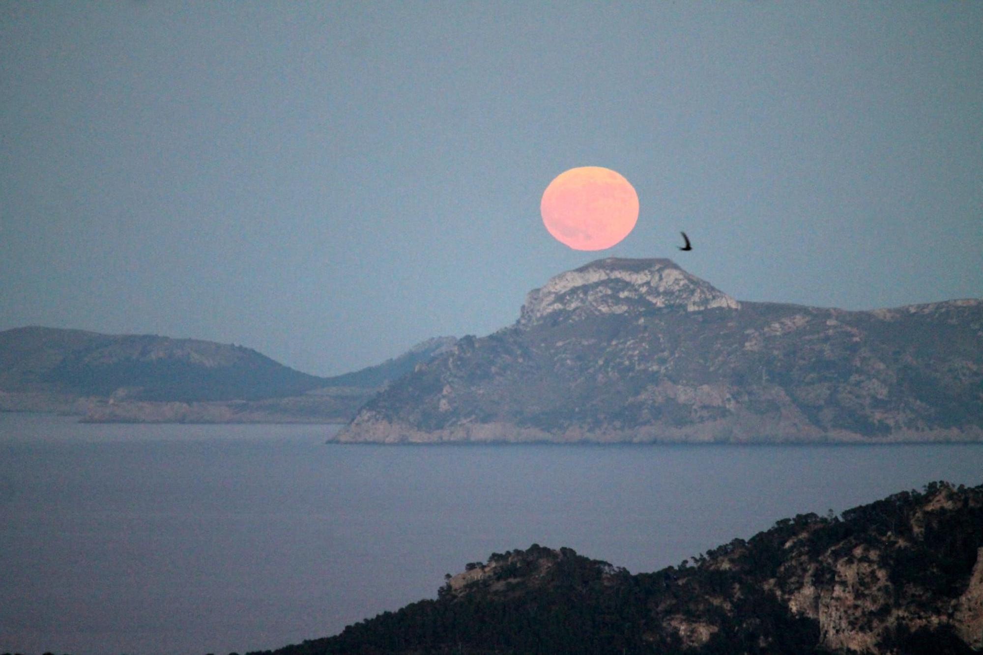 Así se ha visto la luna llena de miel en Mallorca